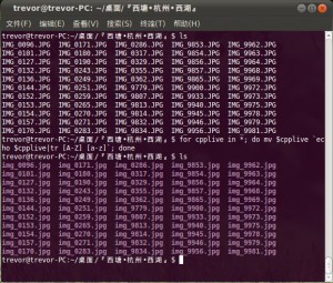 Linux下批量修改文件名大小写